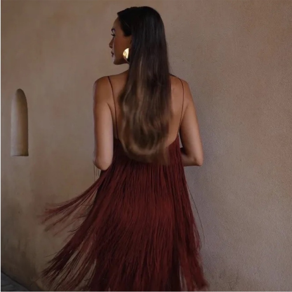 ZARA Brown Midi Fringe Dress NWT MEDIUM - Picture 3 of 11